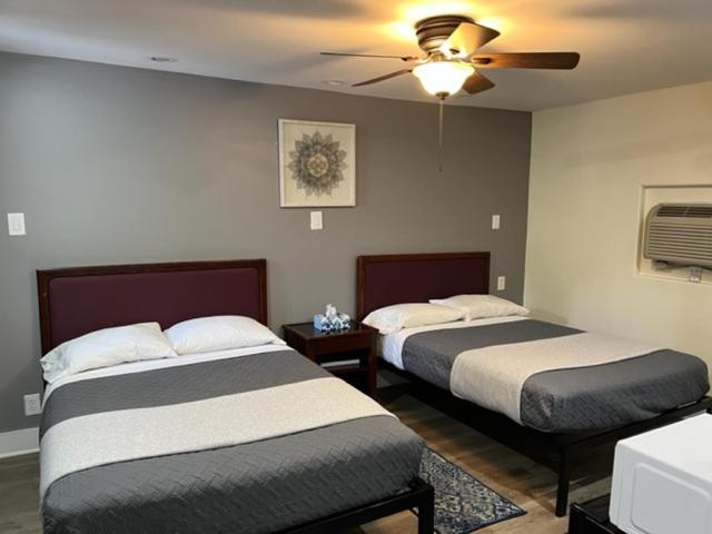Nightshade Inn & Gardens Camillus Ngoại thất bức ảnh
